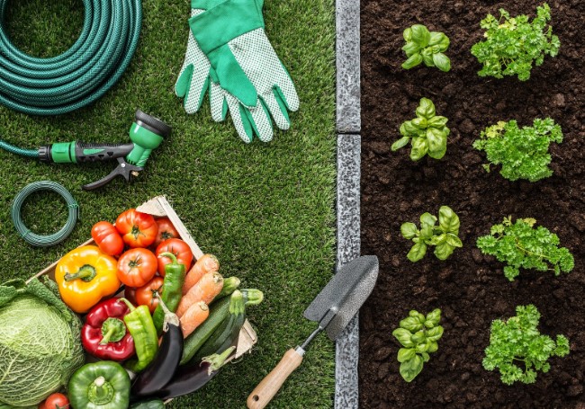 Модная обувь на лето 2024