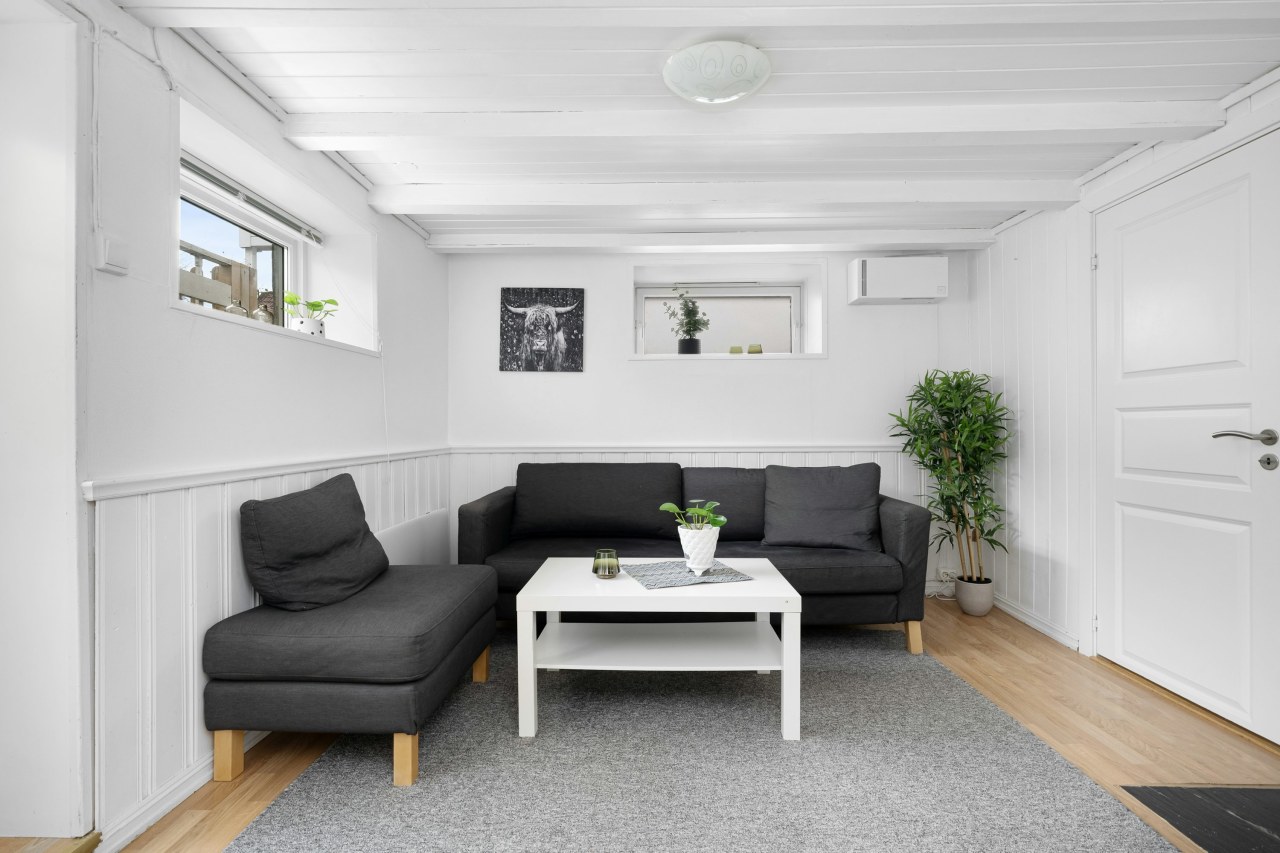 Какие интерьерные растения лучше всего очищают воздух: рейтинг 2025